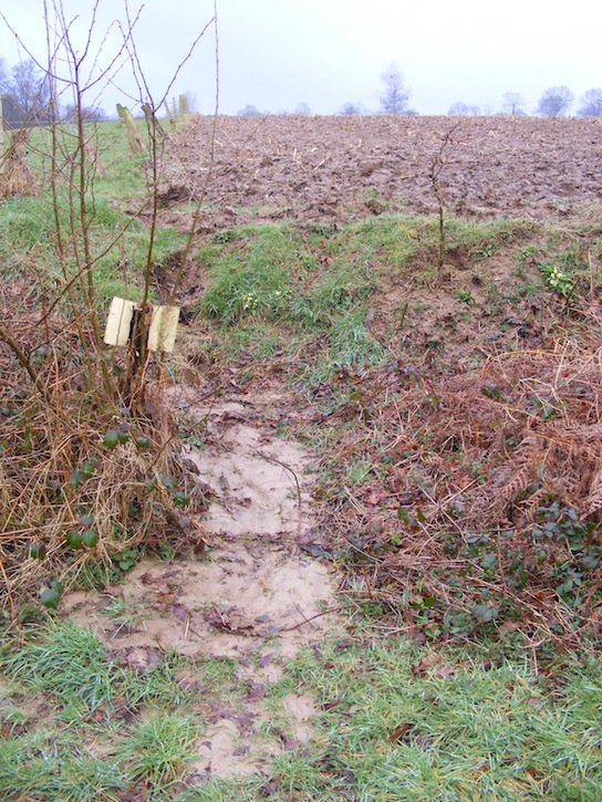 Ecoulement érosif en contrebas de talus.JPG