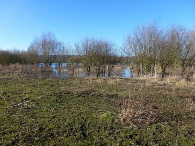 Prairie inondée.jpg