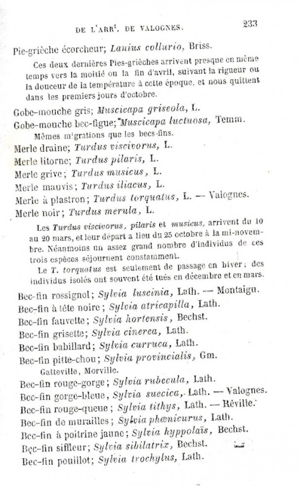 page 233 : les deux pies-grièches dont il est question sont la rousse et l'écorcheur. Le commentaire concernant la grive draine à l'air d'en faire une espèce migratrice au même titre que la musicienne et beaucoup plus surprenant, la grive litorne qui serait donc une nicheuse banale...