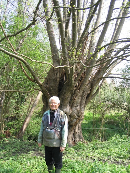 Bernard devant un vieux têtard d'aulne glutineux de la réserve.<br />Photo J Collette (21 avril 2005)