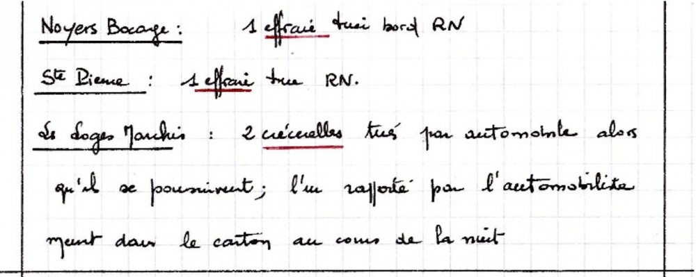 extrait de cahier de notes (31 janvier 1991)<br />J. Collette (cahier 11 page 17)