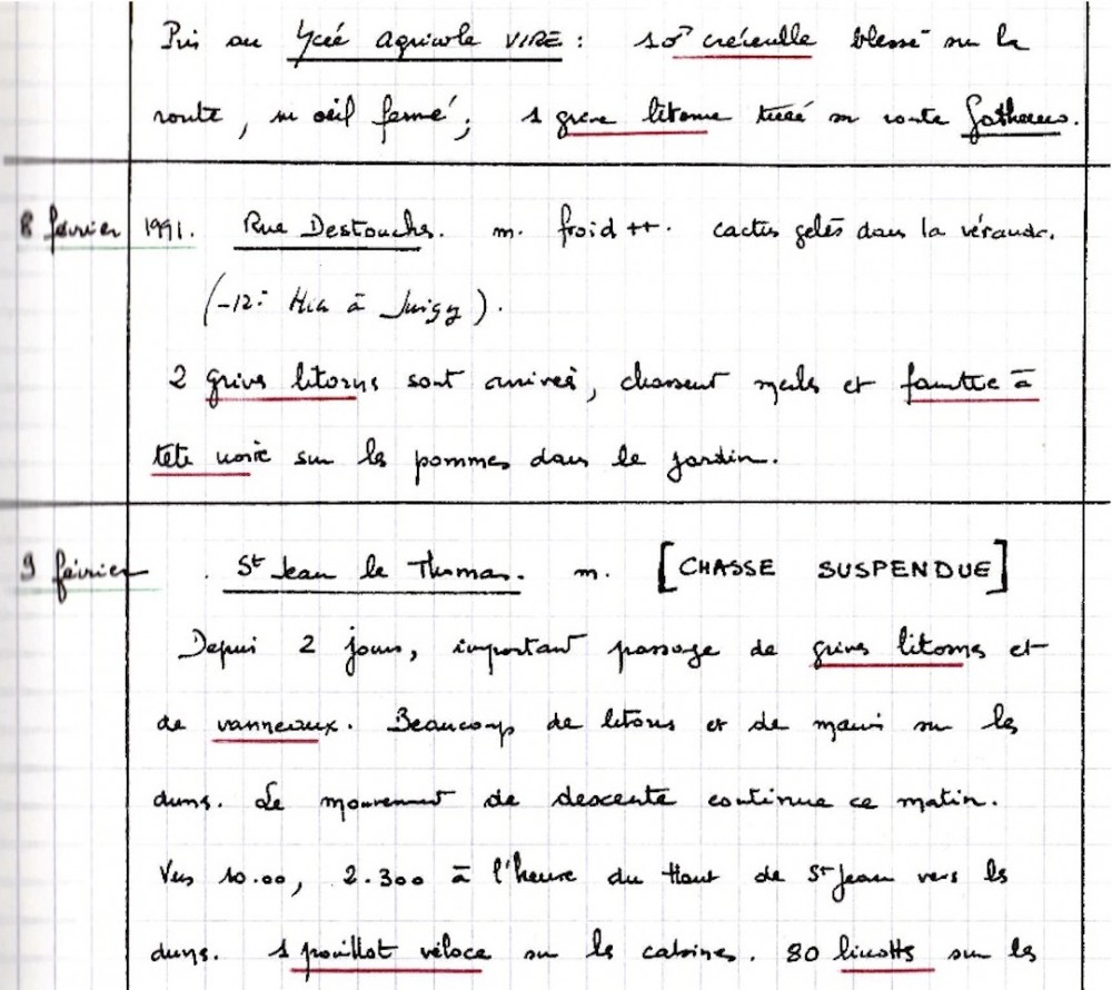 extrait de cahier de notes (7 février 1991)<br />J. Collette (cahier 11 page 19)