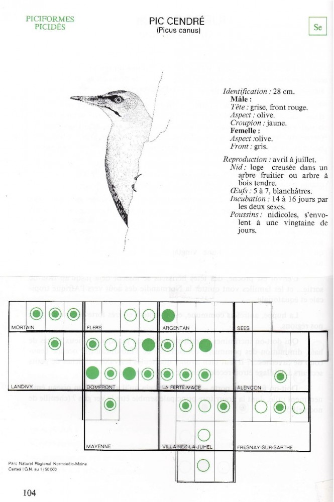 Répartition du pic cendré dans les années 1980 (maille 1/8 du 1/50 000e soit environ 6,5 km x 5 km). Même si les forêts sont bien répandues sur le territoire du PNR, il est certain qu'il serait impossible maintenant de trouver autant d'indices vu la régression de l'espèce.