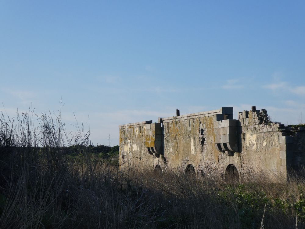 Le fort de l'île de Terre est dans son décor hivernal. Il est déjà fréquenté de temps à autre par les cormorans huppés qui y nicheront au printemps.