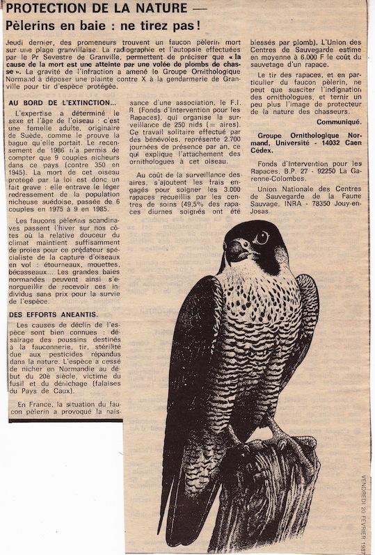 La Gazette de la Manche, 20 février 1987. Dessin &quot;emprunté&quot; par le journal  à la revue La Hulotte.