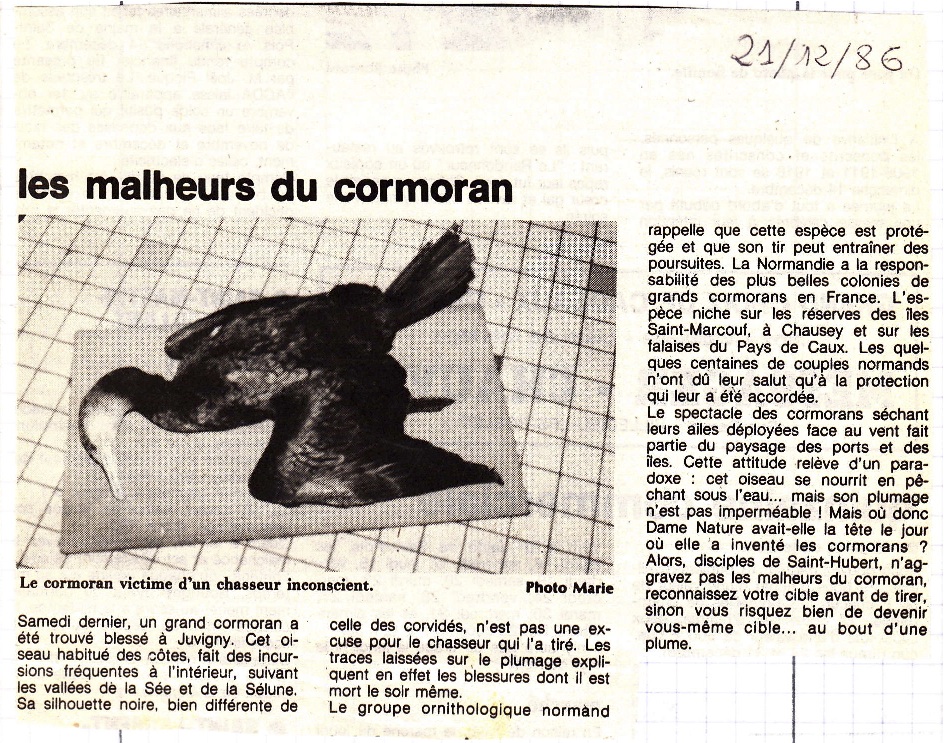 La Manche libre, 21 décembre 1986. La photo du cadavre est faite sur le carrelage de la cuisine du correspondant local! Le Grand cormoran est encore peu connu à l'époque.