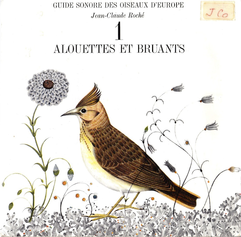 Guide sonore des oiseaux d'Europe. 1 - Alouettes et bruants.