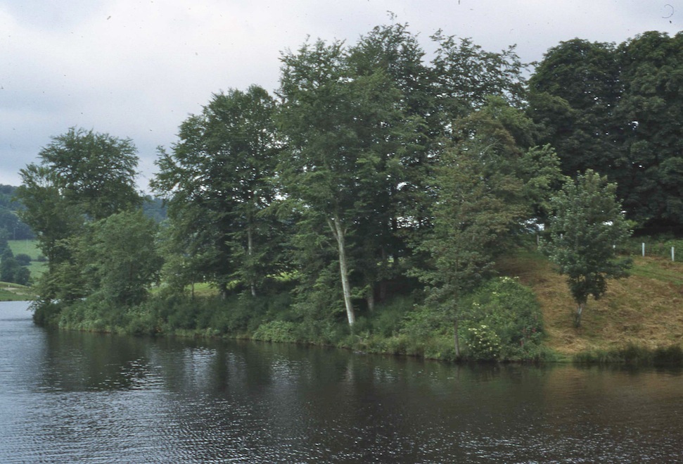 Les rives du goulet, site du nid de juillet 1980 (photo J. Collette)