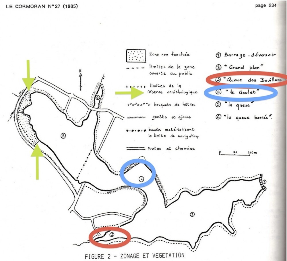 Plan du lac. Localisation de la première famille de morillons en 1978. Extrait de la synthèse publiée dans la revue Le Cormoran.