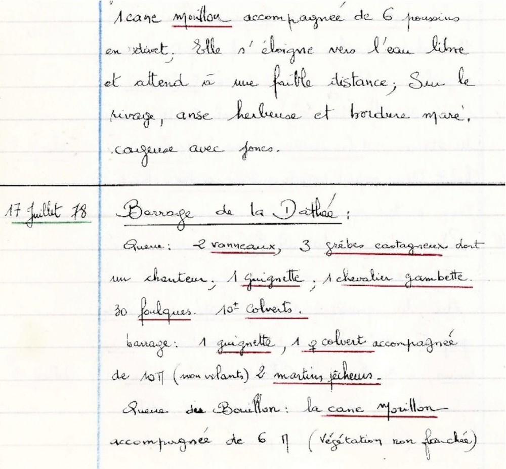 Notes du 14 juillet 1978; découverte de la famille de Morillons. Cahier 3 p 114.