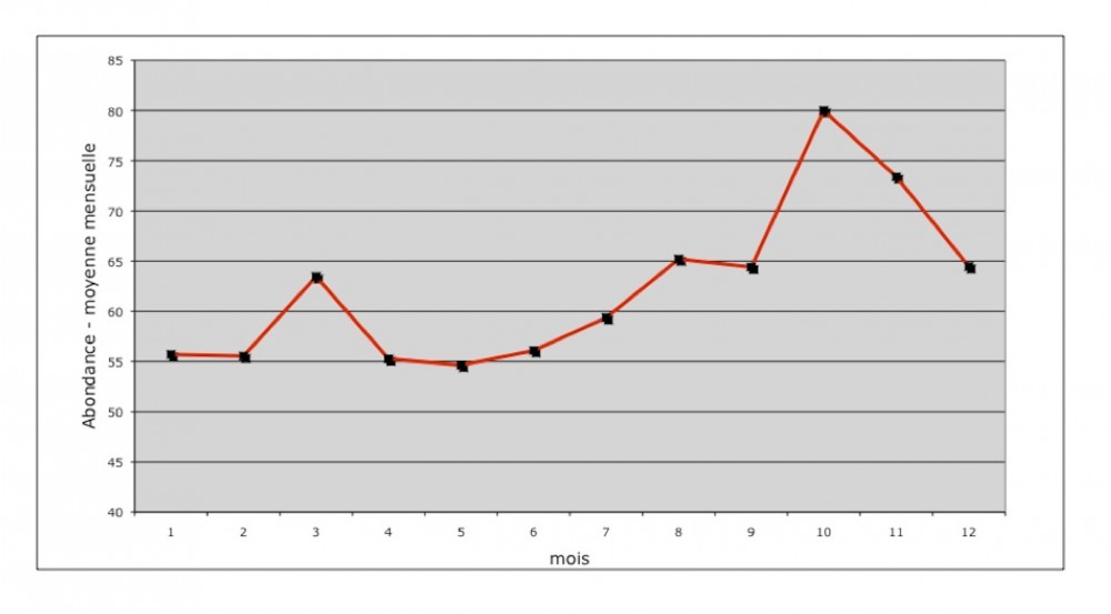 Sur 11 années, la variation mensuelle moyenne du nombre d'individus colle avec le calendrier démographique des oiseaux : passage de printemps, puis croissance du nombre d'individus nés sur place puis gros arrivage des migrateurs d'automne au passage.