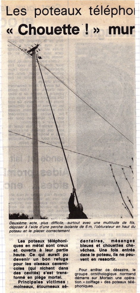 Ouest-France, 28 février 1987. Yves, le perchman! Petit souvenir extrait des agendas: le 18 février, nous attaquions la RD Barenton-Mortain... et la neige se mit à tomber. Pas très agréable pour viser le sommet des poteaux!<br />Illustration extraite de &quot;Oiseaux nicheurs du parc naturel régional Normandie-Maine&quot;, 1986; dessins de Jean-François Launay.