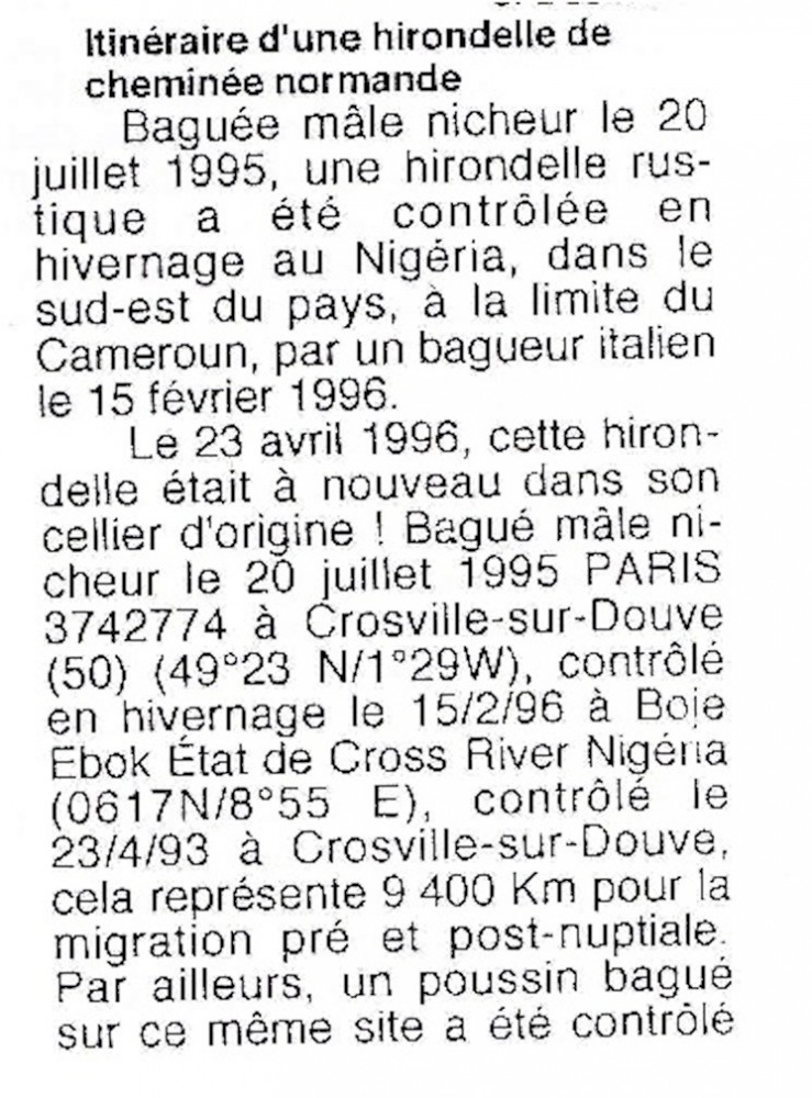 Le Petit Cormoran, juillet 1996. n°96 p 11.