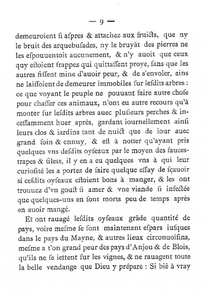 &quot;... il y en a eu quelques uns à qui leur curiosité les a portés de faire quelques essais de savoir si ces dits oiseaux étaient bons à manger, et les ont trouvé d'un goût si amer et une viande si infectée que quelques-uns en sont morts peu de temps après en avoir mangé.&quot;