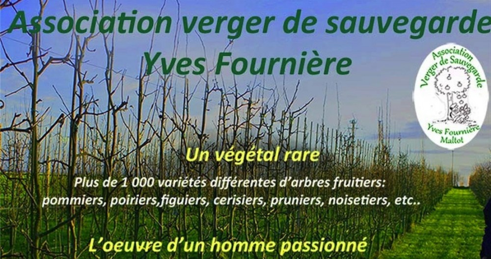 Verger Yves Fournière.jpg