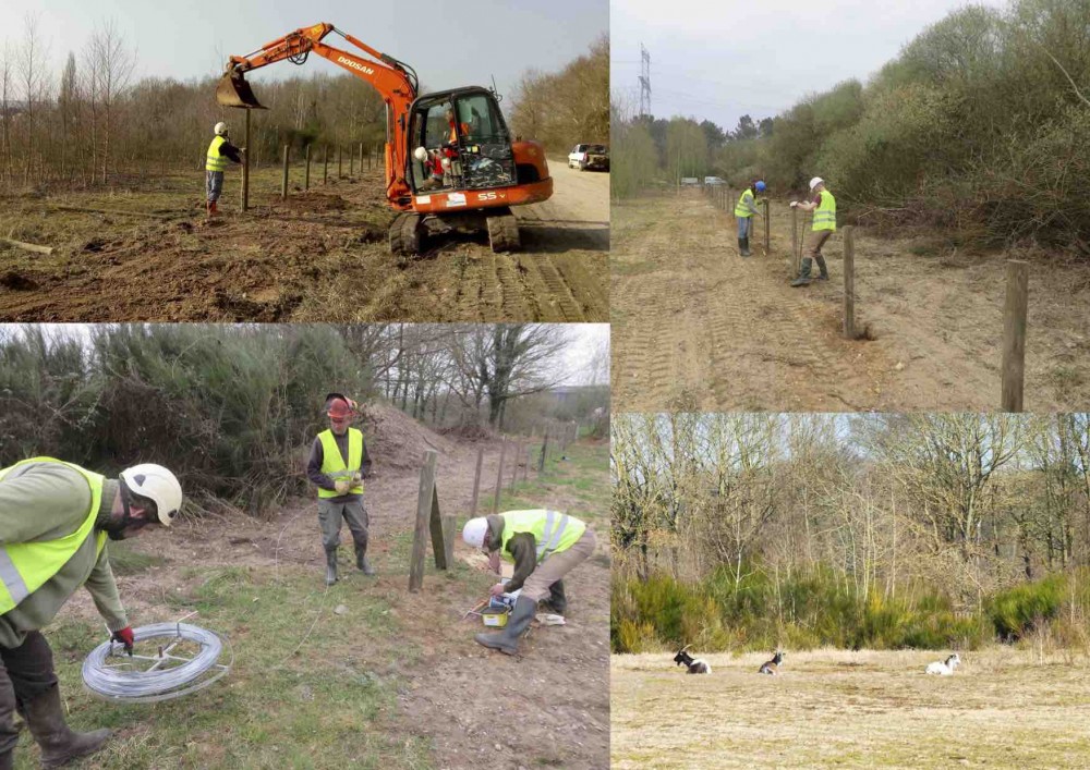 Marine, Damien, Grégory, Arnaud et Gilles installent une clôture pour accueillir les biquets