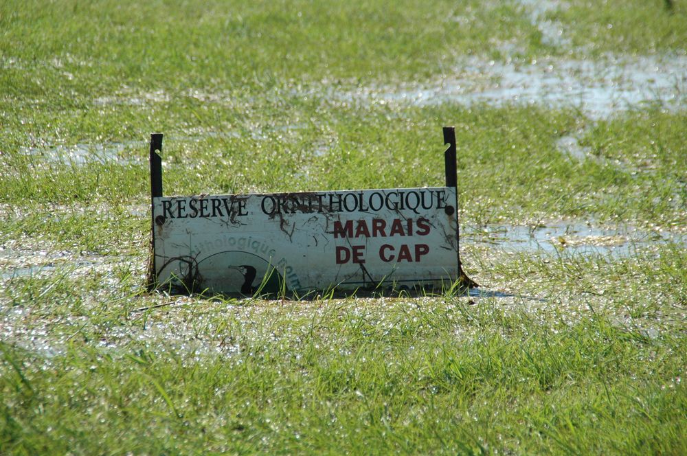 La panneau d'entrée de la réserve a encore les pieds dans l'eau.