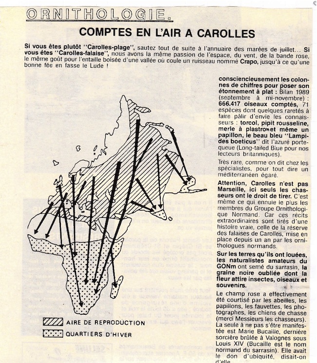 La Gazette de la Manche, 23 février 1990.<br />L'article est scindé en 2 parties pour une meilleure  lisibilité.<br />Le ton est outrageusement &quot;littéraire&quot;, surchargé d'images, mais c'est un peu le prix à payer pour accrocher le lecteur peu motivé par la rubrique &quot;ornithologie&quot; dans un hebdomadaire local... Avec le recul, j'ai un peu honte de ce texte proposé aux journaux de l'Avranchin!