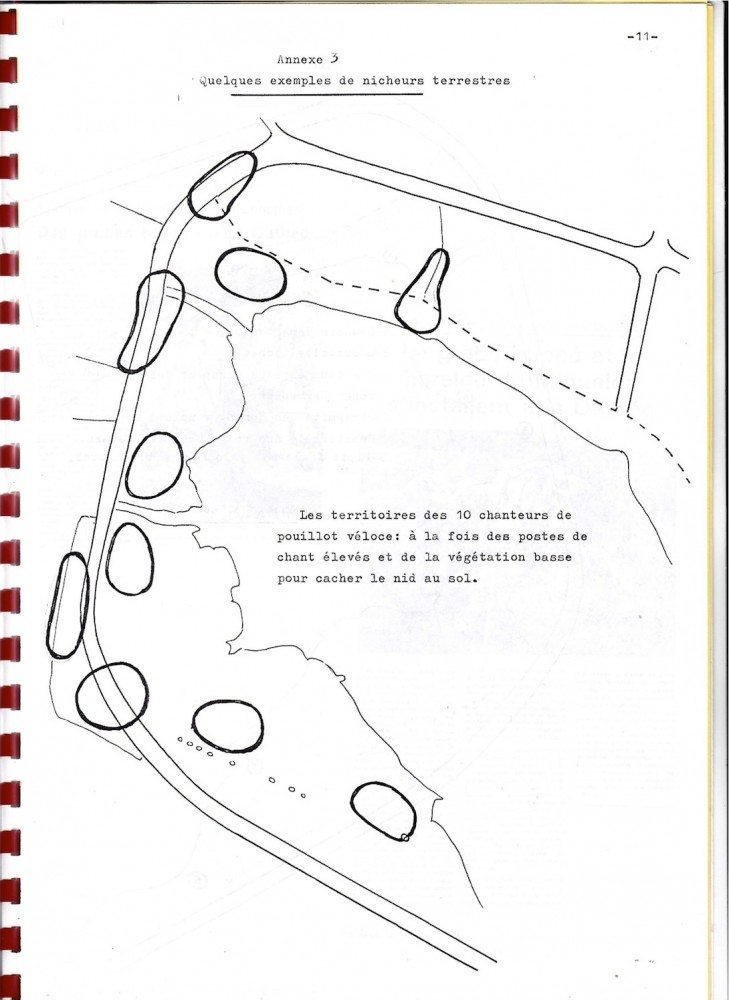 La circulation depuis la route de ceinture se prête facilement au relevé des chanteurs cantonnés. A la fin des années 1980, la saulaie n'est pas encore aussi mature qu'actuellement comme le prouve par exemple  l'installation du phragmite des joncs, de la locustelle ou du bruant des roseaux  cette année 1989.