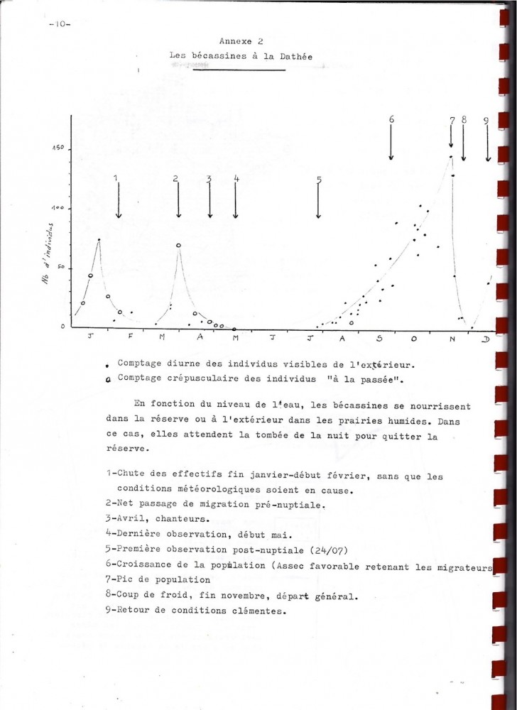 13 novembre 1989, 147 bécassines visibles depuis la route!