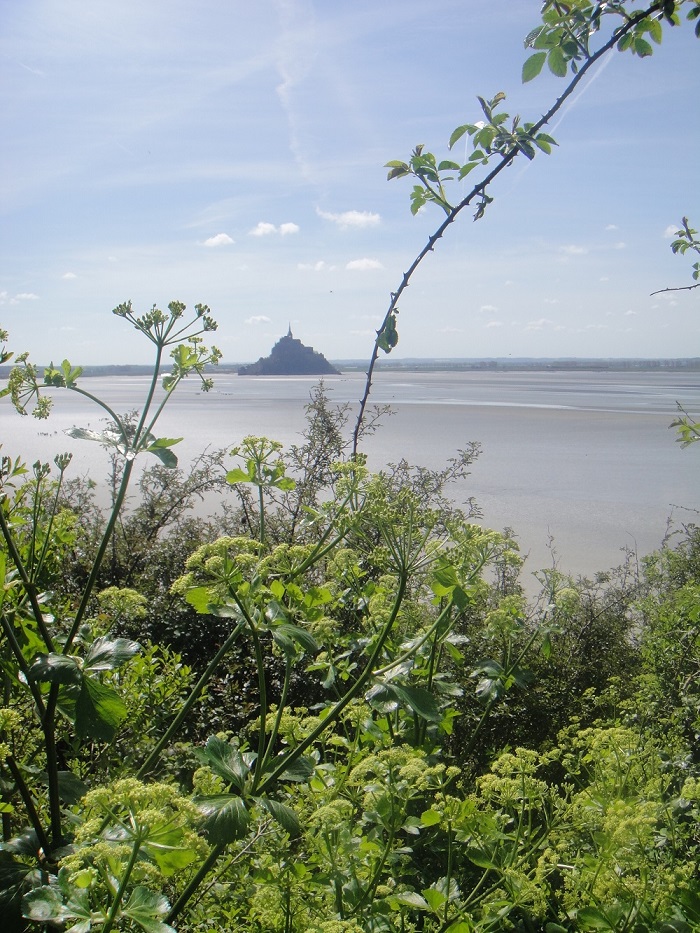 vue sur le Mont Saint Michel.JPG