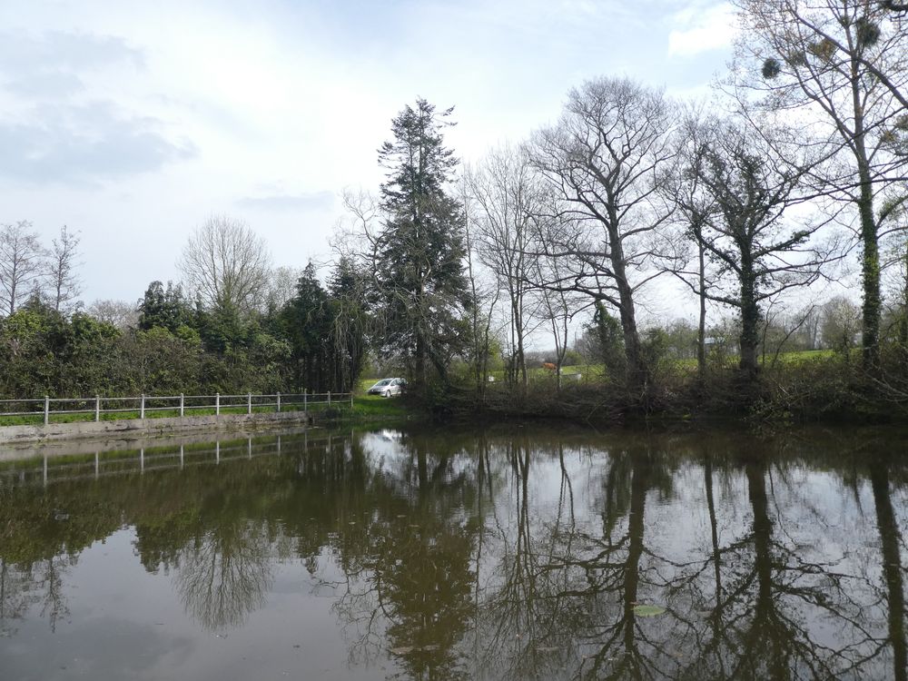 La grande mare se trouve devant la maison. Facile d'y observer grande aigrette, héron et martin-pêcheur!