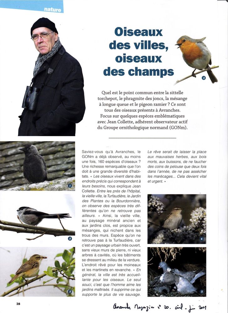 Avranches Magazine Avril-Mai 2019