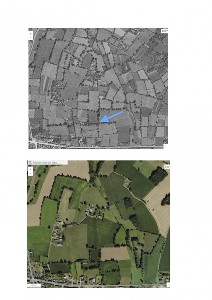 Comparaison du bocage de Juvigny-le-Tertre: photos 1950-1965 et 2006-2010. Le nid est localisé par la flèche bleue.<br />Deux études sur l'impact du remembrement sur les passereaux du bocage ont été menées à cette époque (voir articles publiés dans la revue le Cormoran). A Barenton - 1973-77 - le maillage du quadrat de 20 ha passe de 315m/ha à 104 m/ha après les travaux connexes. A Juvigny-le-tertre, - 1974-1978 - le maillage passe de 296 m/ha à 136 m/ha soit des pertes de 60 et 53% du linéaire de haies.