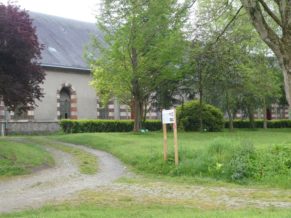 Le panneau devant un des bâtiments historiques du haras. L'intérêt ornithologique de ce bâtiment est qu'il abrite une belle colonie d'hirondelles de fenêtre (26 couples en 2018)