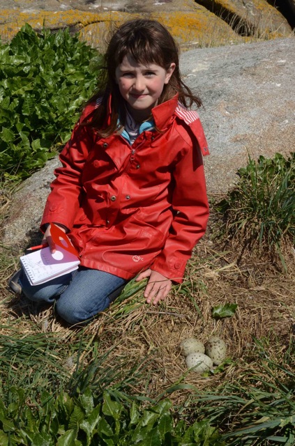 Églantine (9 ans) en action - La relève est assurée (photo Xavier Corteel)