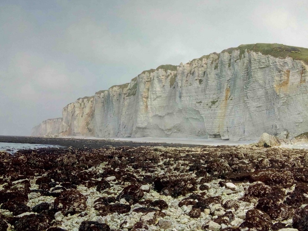 Falaises cauchoises (Photo Fabrice Gallien)