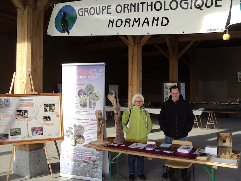 Le Mesnil-Ozenne -la journée de la pomme organisée dans cette commune du Sud Manche fut une bonne expérience : le verger haute tige voisin fut un terrain de découverte remarquable des liens des oiseaux et du pommier et les quelques sorties offertes au public plurent. Le stand s'appuyait sur quelques panneaux en lien avec le thème, plus les classiques (tronc creusé par les pics, nichoir dont un exemplaire squatté par les bourdons.) Ce fut aussi une expérience qui nous rappelle les limites de ce genre d'organisation : nous n'étions que des "prestataires de service" pour l'association organisatrice (Quartier Nature). Lors du discours de remerciements du président de l'agglo, tout les participants furent cités... sauf le GONm.