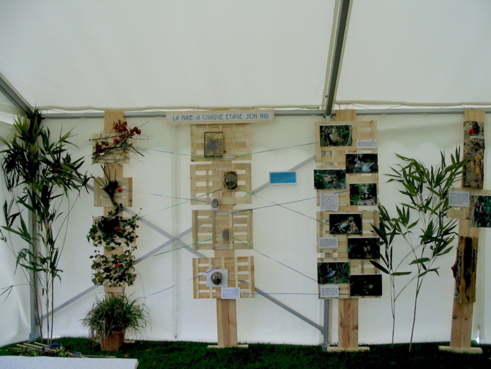 20050328 -crévecoeur.jpg (392.57 Kio) Vu 14925 fois Crévecoeur - Sur fond de cageots, des nids et des plantes reliés aux photos des oiseaux correspondants : la stratification de la haie de la touffe de dactyle au sol (pour le pouillot véloce) aux plus hautes ramures.
