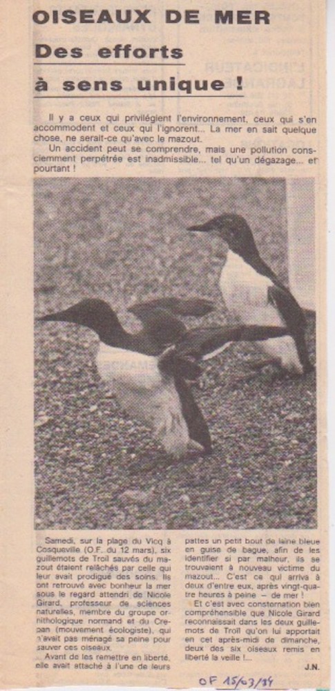 Ouest-France, édition du 15 mars 1984 . Un exemple démoralisant... NIcole Girard est encore active et soigne bénévolement nombre d'oiseaux de mer en particulier.
