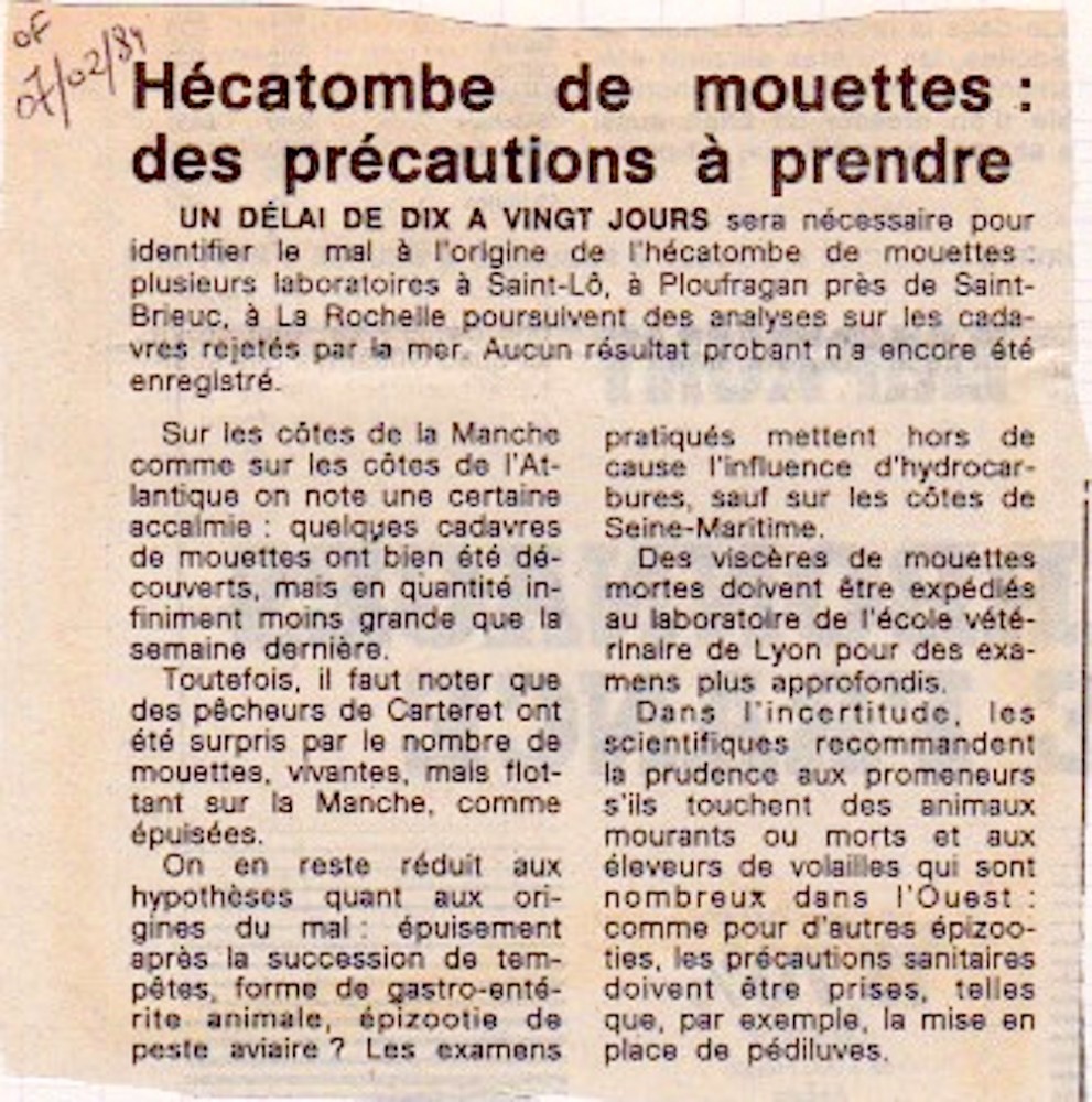 Ouest-France, édition du 7 février 1984. L'article met l'accent sur le potentiel risque sanitaire, en particulier dirigé vers les élevages de volailles.