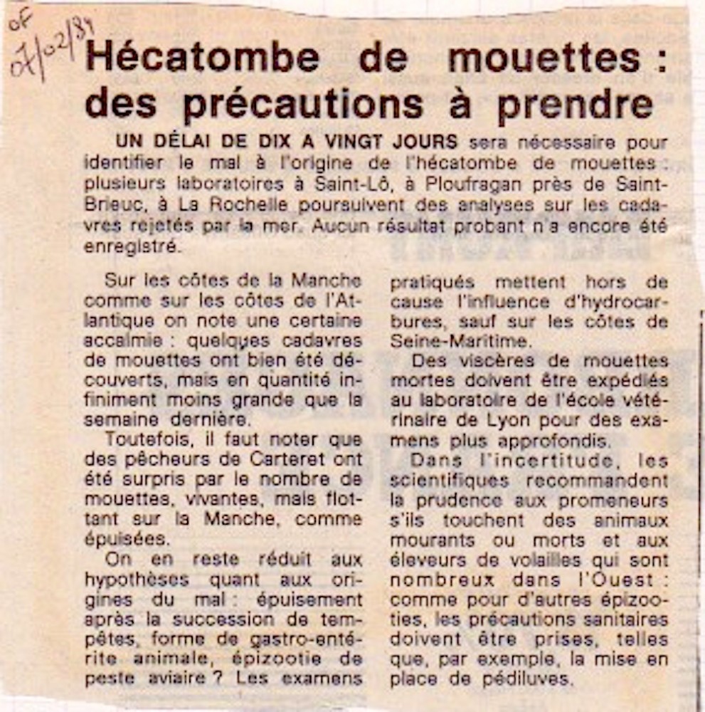 F.jpeg (315.27 Kio) Vu 14860 fois Ouest-France, édition du 7 février 1984. L'article met l'accent sur le potentiel risque sanitaire, en particulier dirigé vers les élevages de volailles.