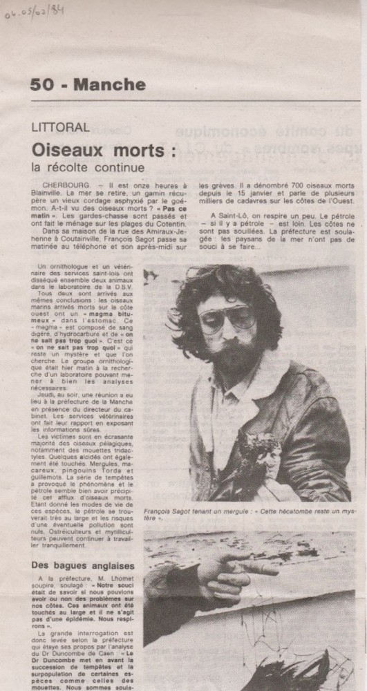A.jpeg (251.89 Kio) Vu 14860 fois Ouest-France, édition du 4-5 février 1984. La mortalité exceptionnelle qui touche les mouettes tridactyles concerne aussi beaucoup d'autres espèces. Les photos des différents articles à suivre montreront des alcidés (mergule ici, guillemots...), des fous de bassan, des limicoles (voir les huitriers de cet article.) Il faut se souvenir du contexte de l'époque : les comptages des oiseaux échoués de février montrent un fort pourcentage d'oiseaux mazoutés. De la mi janvier 1984 à fin février, le suivi très méthodique de nombreux kilomètres de laisse de mer va donner lieu à l'inventaire de nombreux cadavres, pas tous liés à l'épisode de tempête. Le canard en photo dans cet article est visiblement pris dans un filet par exemple, en plus d'être mazouté...