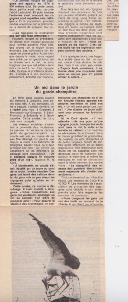 suite de l'article précédent.