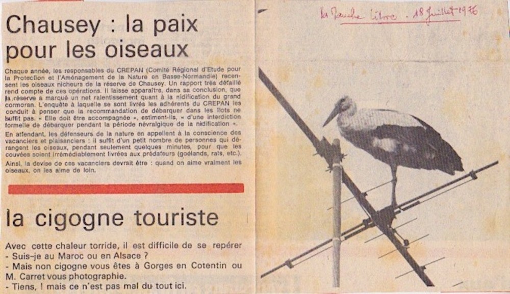 La Manche libre, 18 juillet 1976<br />L'article annexe concernant Chausey rappelle qu'à cette date, la protection des nichées des ilots n'est toujours pas effective, le débarquement n'est pas interdit.