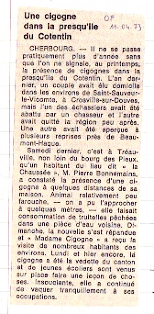 Ouest-France, édition du 11 avril 1973.<br />En 1972, l'un des deux adultes nicheurs de Crosville-sur-Douve/50 avait été abattu par un chasseur.