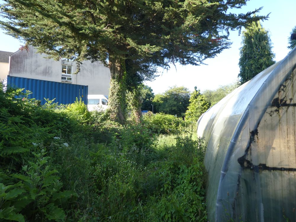 La partie sud du lycée est boisée, elle est entretenue et exploitée par les élèves de la section &quot;Travaux paysagers&quot;. Les bordures ne sont pas fauchées.