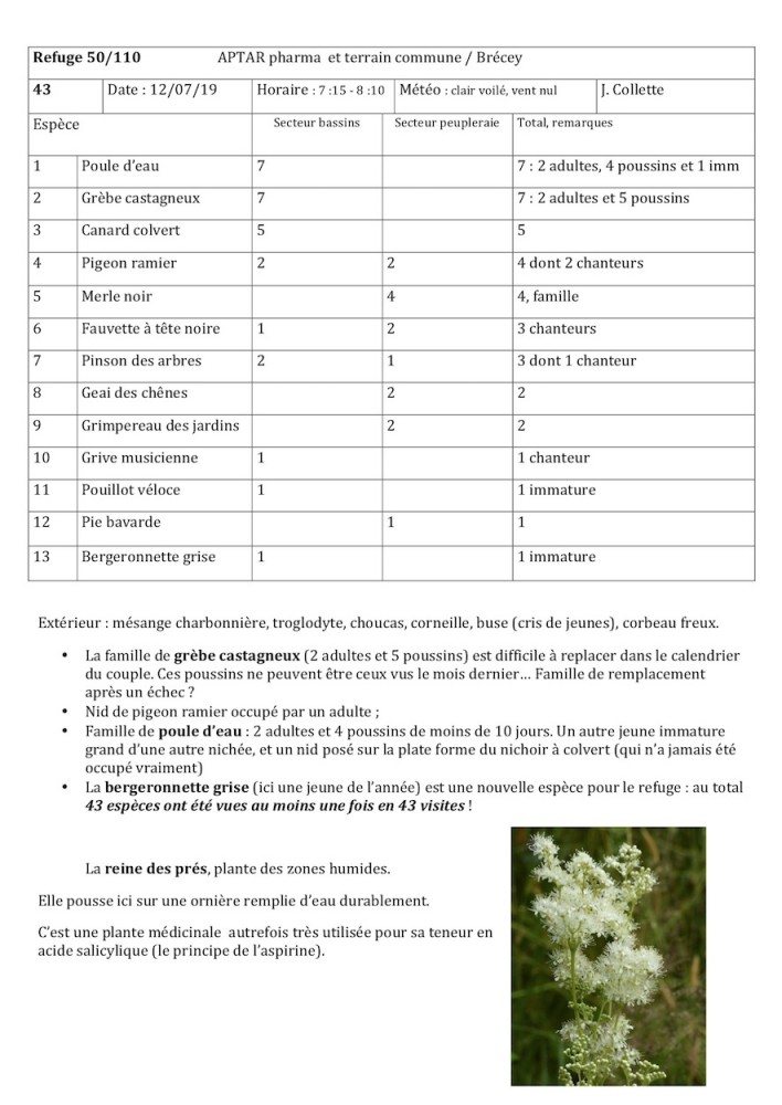 Bilan envoyé au service environnement de l'entreprise. Chaque fois que possible, quelques documents photo accompagnent le message : la fonction &quot;pédagogique&quot; est au moins aussi importante que le résultat du recensement. La fauche a été largement retardée, les zones de lisière de haie sont délaissées et les rives des bassins sont laissées en l'état.