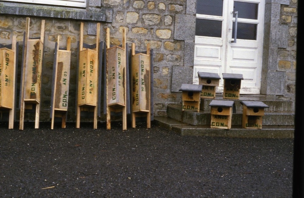 Le 11 février 1984 est un samedi : pas d'élèves dans la cour d'école... Quels murs! Granite et grès...<br />(photo J Collette)