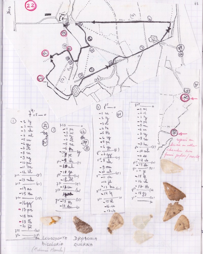 23 mai 1999; .jpeg (235.63 Kio) Vu 15590 fois L'aile de Leucodonta est collée en bas à gauche. Cahier n° 16 page 43, Jean Collette.