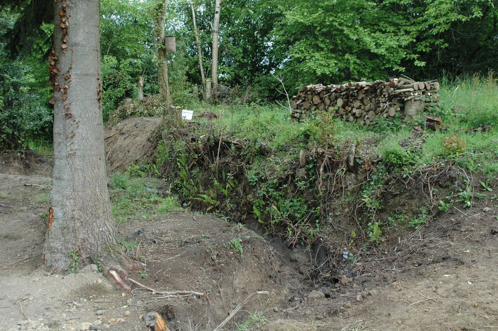 Un nichoir à mésange à l'arrière du ruisseau dont le cours originel a été rétabli.