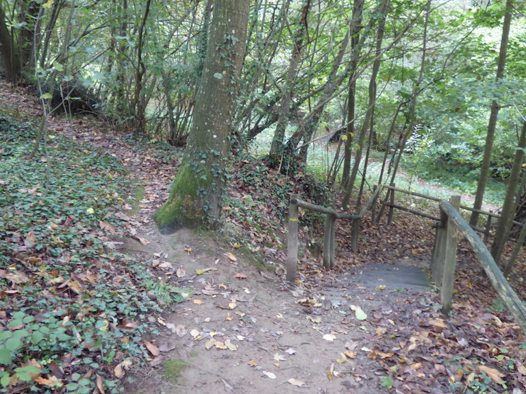 A droite, l'escalier pour les humains, à gauche le chemin vers les terriers du blaireau...