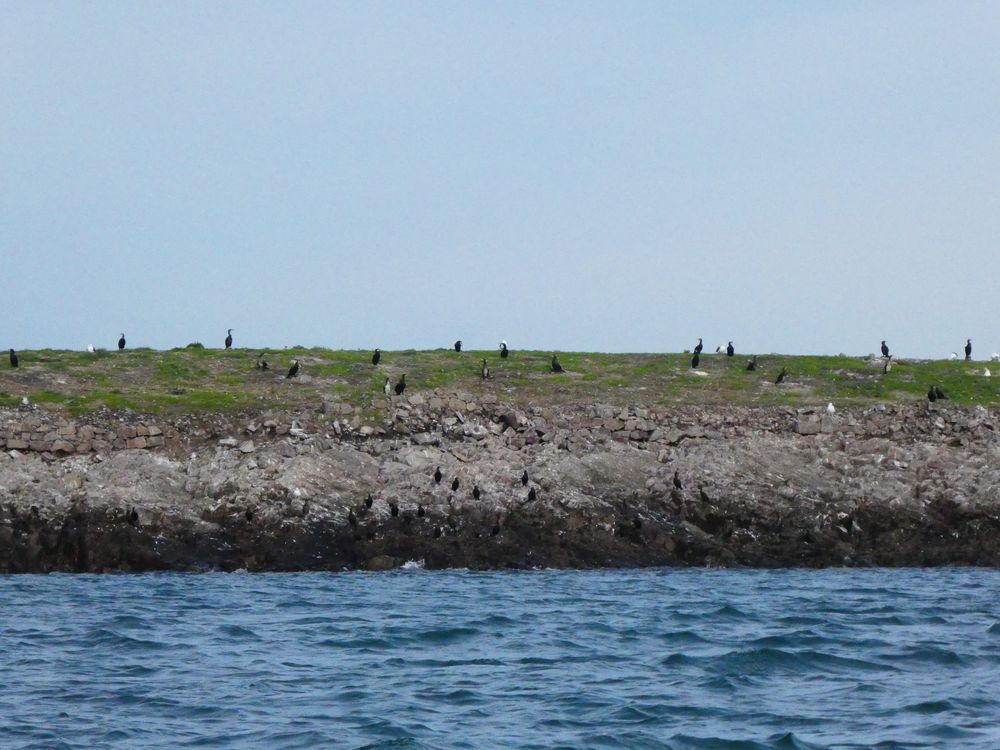 L'île de Terre est bien verte.