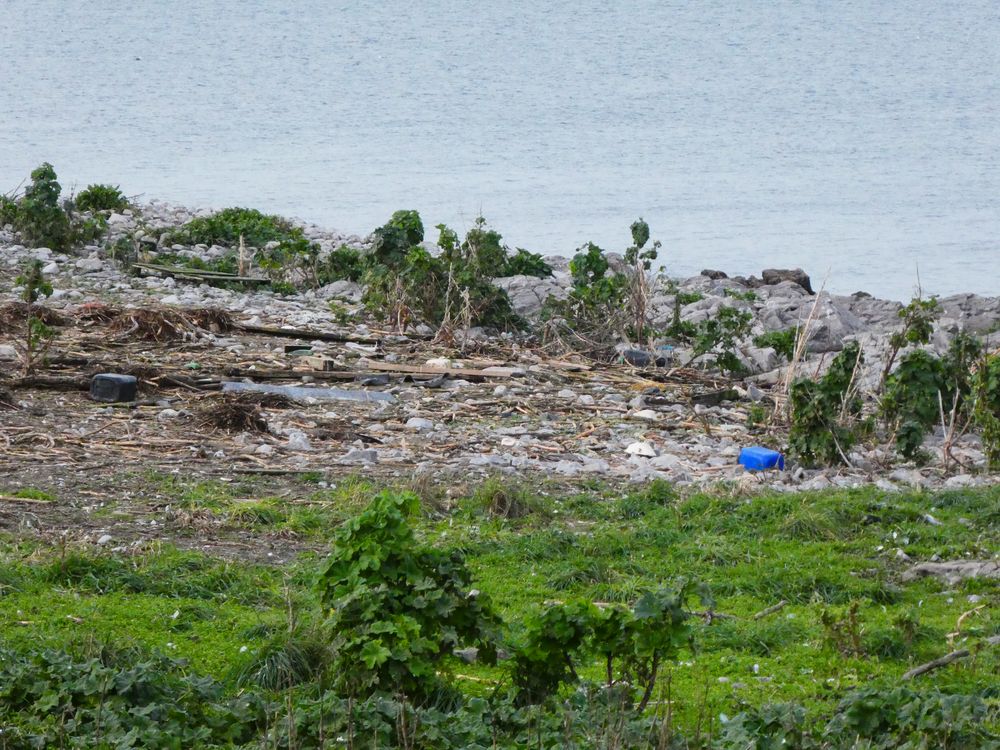 Une laisse de mer abondante très haut sur l'île marque bien l'amplitude de la marée. Là aussi, une dépression s'est creusée dans la pente.