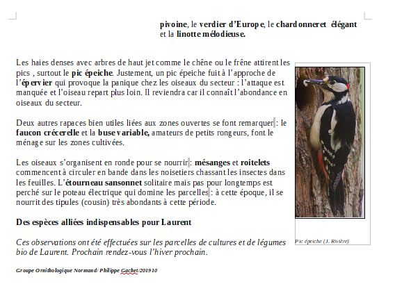 Bulletin 8 verso Saint-Lô. Rédacteur : Philippe Gachet