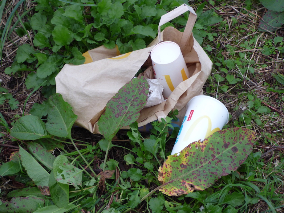 Cartons et matières plastiques, avant de passer au broyeur des services de l'entretien.